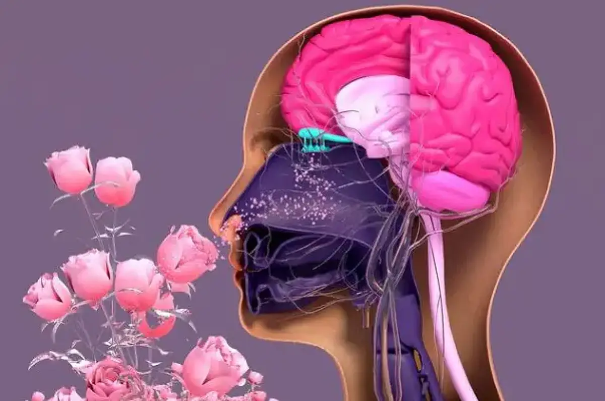 Fragrance manufacturer using scent to stir emotions